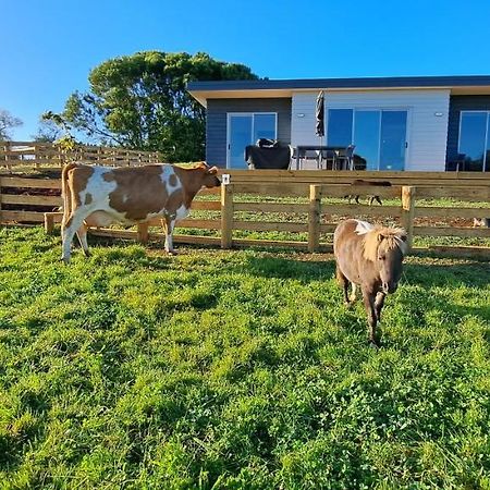Country Comfort - Only 10 Minutes From Hamilton Cbd Εξωτερικό φωτογραφία