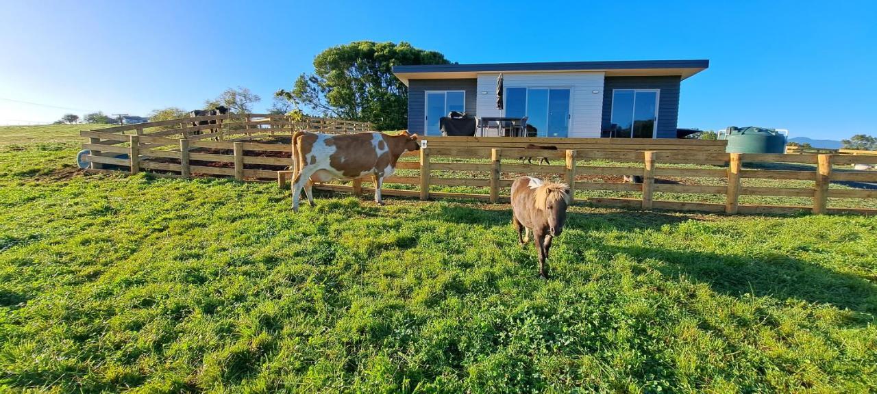Country Comfort - Only 10 Minutes From Hamilton Cbd Εξωτερικό φωτογραφία