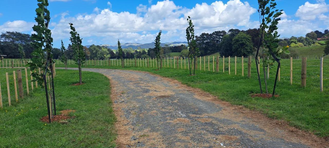 Country Comfort - Only 10 Minutes From Hamilton Cbd Εξωτερικό φωτογραφία