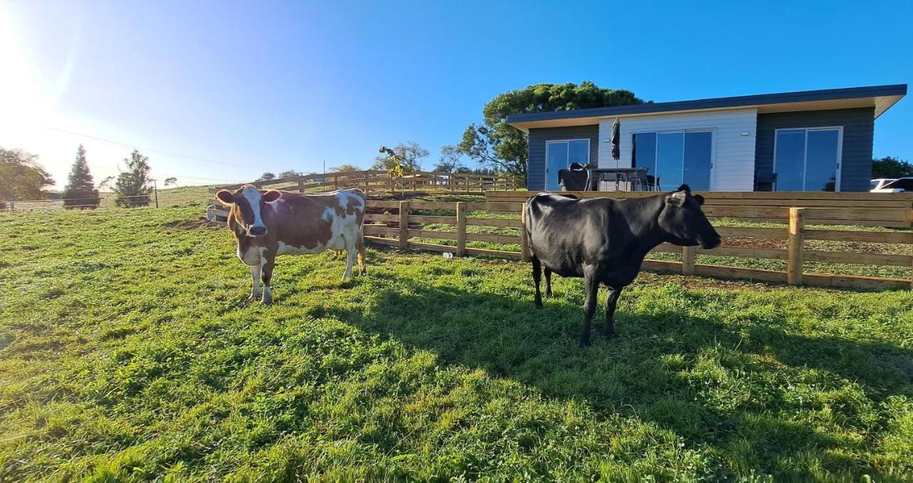 Country Comfort - Only 10 Minutes From Hamilton Cbd Εξωτερικό φωτογραφία