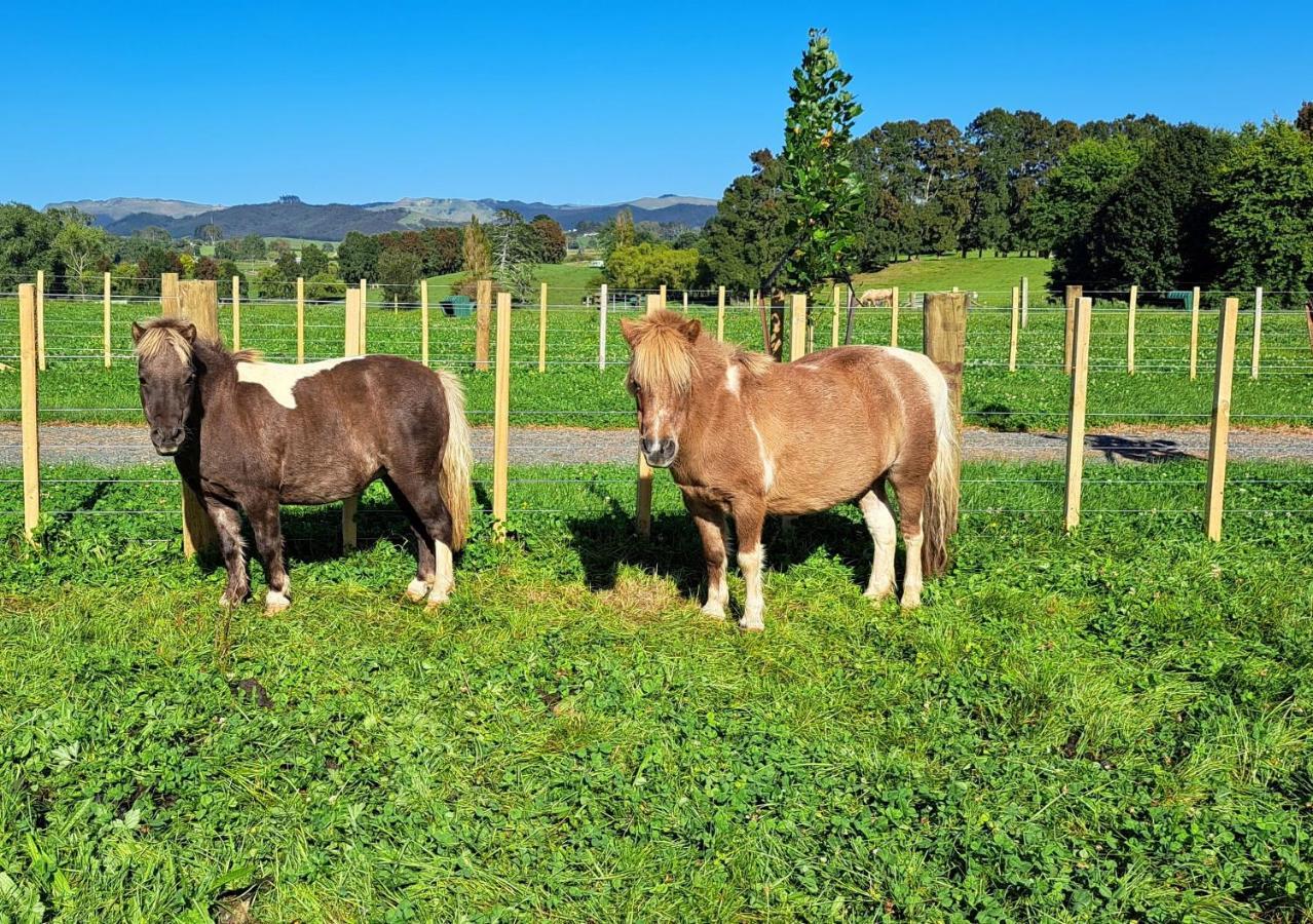 Country Comfort - Only 10 Minutes From Hamilton Cbd Εξωτερικό φωτογραφία