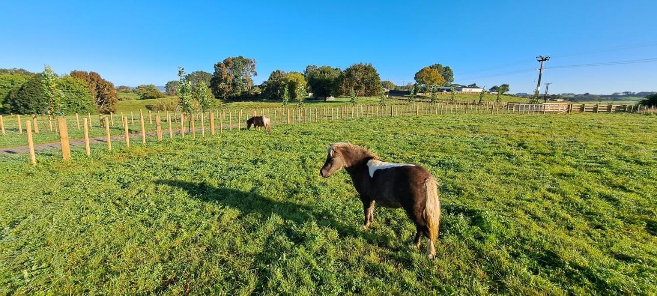 Country Comfort - Only 10 Minutes From Hamilton Cbd Εξωτερικό φωτογραφία